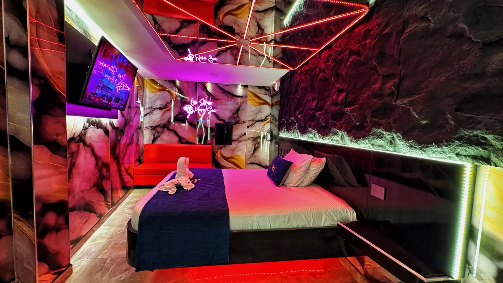 Suite 201 foto 8
